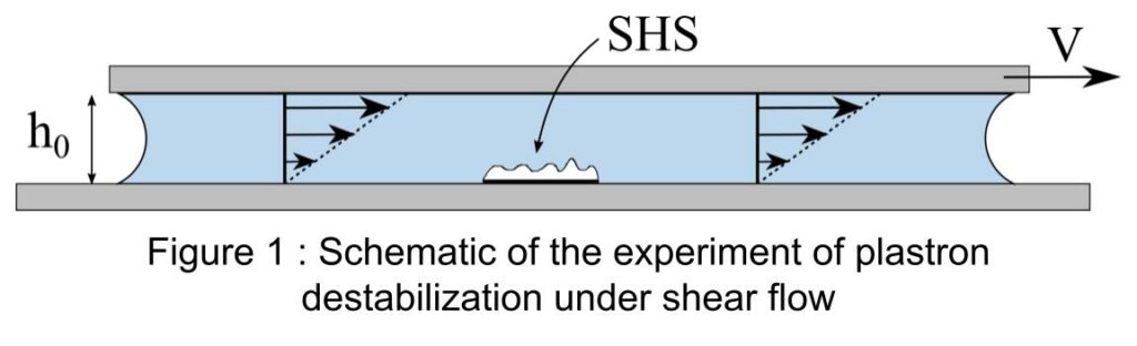 Cavitation bubbles appearing during few ms on a surface after an acoustic pulse.